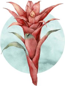 Komar Poster Funky Flower (1 stuk)