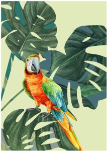 Komar Poster Green-Winged Macaw (1 stuk)