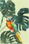 Komar Poster Green-Winged Macaw Kinderkamer slaapkamer woonkamer (1 stuk) - Thumbnail 1