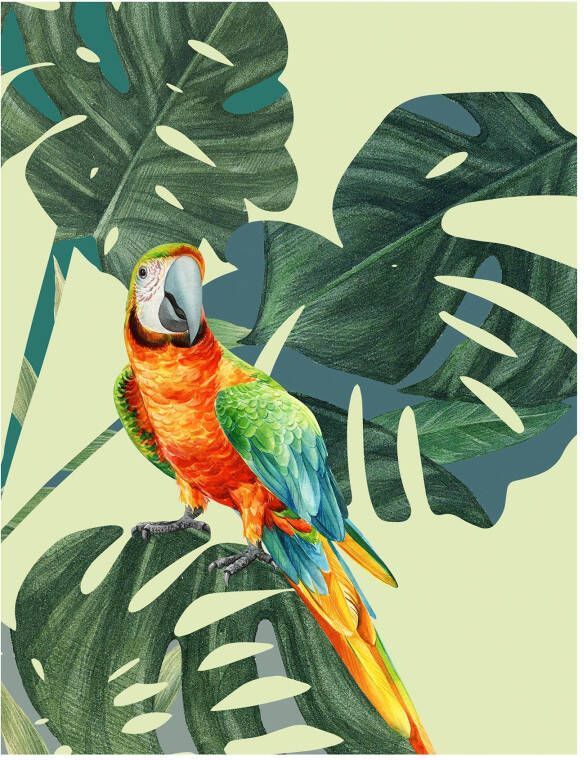 Komar Poster Green-Winged Macaw Kinderkamer slaapkamer woonkamer (1 stuk)