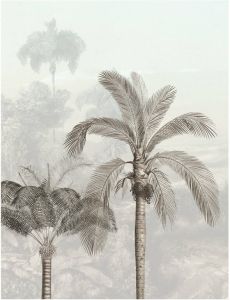 Komar Poster Jungle Panorama (1 stuk)