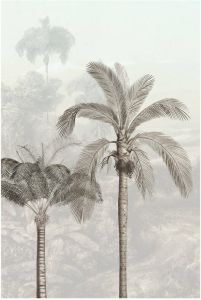 Komar Poster Jungle Panorama (1 stuk)