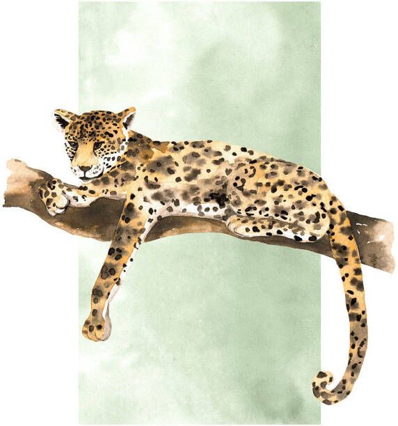 Komar Poster Lazy Leopard Kinderkamer slaapkamer woonkamer (1 stuk)