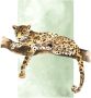 Komar Poster Lazy Leopard Kinderkamer slaapkamer woonkamer (1 stuk) - Thumbnail 1