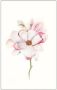 Komar Poster Magnolia Blossom Kinderkamer slaapkamer woonkamer - Thumbnail 1