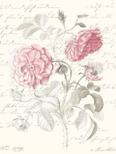 Komar Poster Poème Rose (1 stuk)