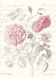 Komar Poster Poème Rose (1 stuk)