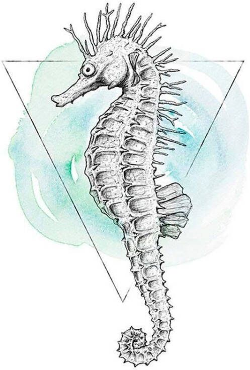 Komar Poster Sea Horse Watercolor Hoogte: 50 cm