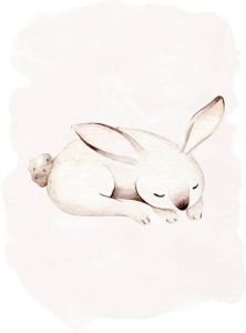 Komar Poster Sleepy Bunny (1 stuk)