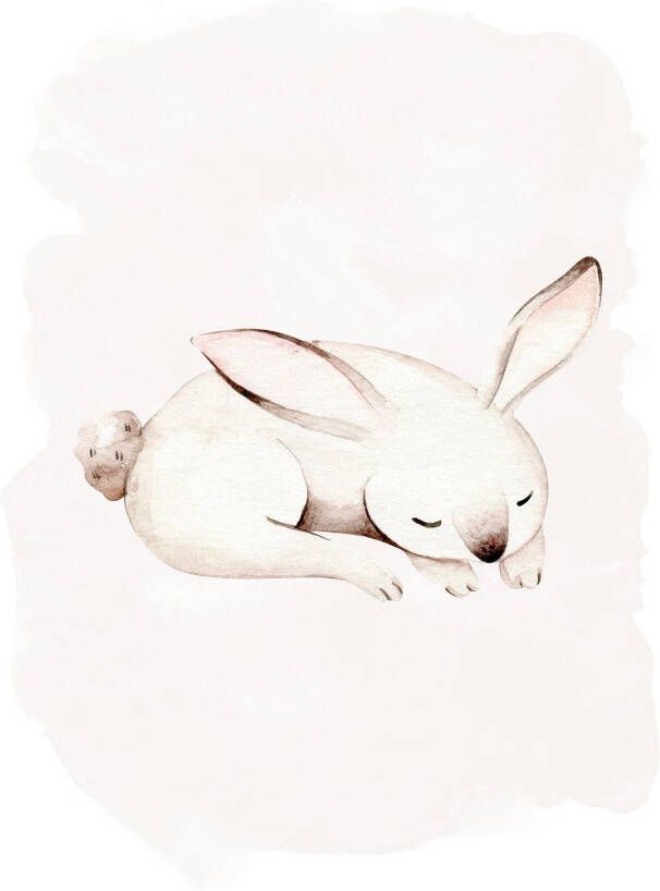 Komar Poster Sleepy Bunny Kinderkamer slaapkamer woonkamer (1 stuk)