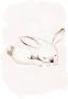 Komar Poster Sleepy Bunny Kinderkamer slaapkamer woonkamer (1 stuk) - Thumbnail 1