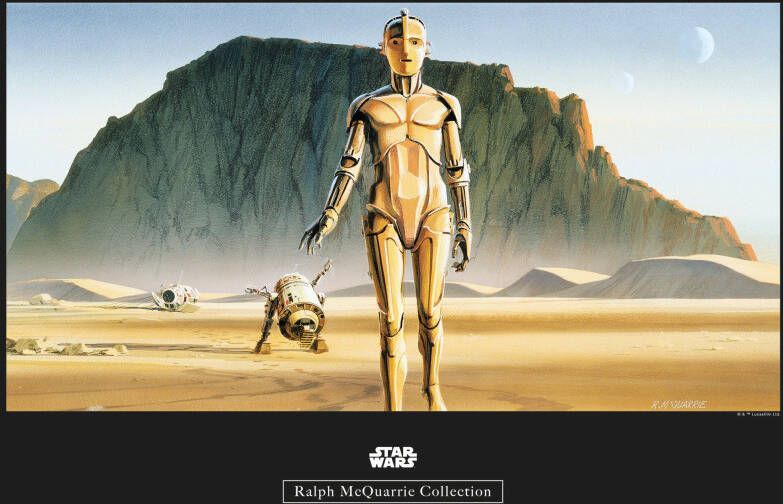 Komar Poster Star Wars Classic RMQ Droids Kinderkamer slaapkamer woonkamer