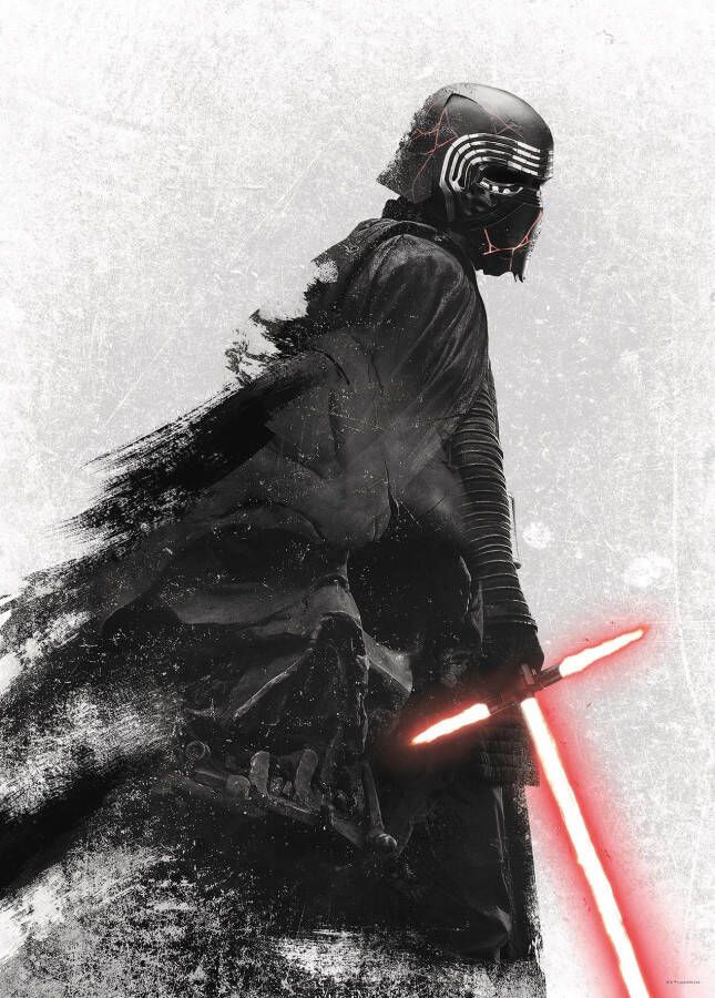 Komar Poster Star Wars EP9 Kylo Vader Shadow Kinderkamer slaapkamer woonkamer