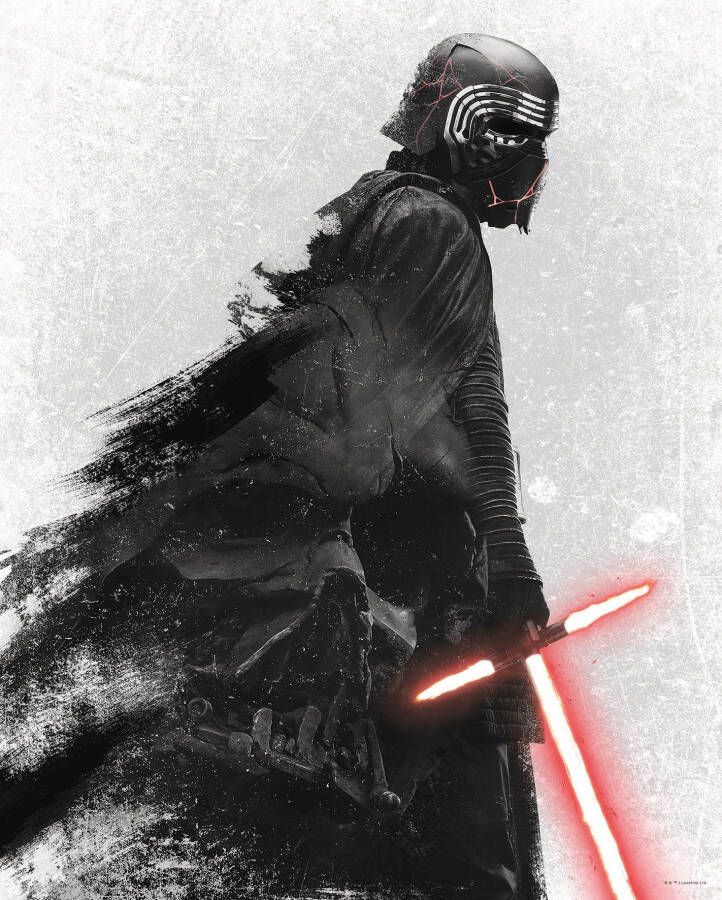 Komar Poster Star Wars EP9 Kylo Vader Shadow Kinderkamer slaapkamer woonkamer