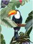 Komar Poster Toco Toucan Kinderkamer slaapkamer woonkamer (1 stuk) - Thumbnail 1