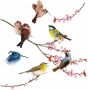 Komar Raamdecoratie Vogels 31x31 cm zelfklevend (12 stuks) - Thumbnail 1