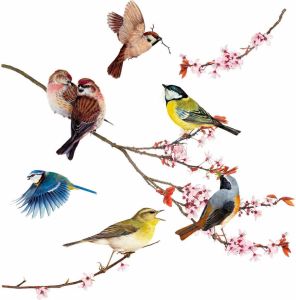 Komar Vensterbeeld Vogels 31x31 cm zelfklevend (12 stuks)