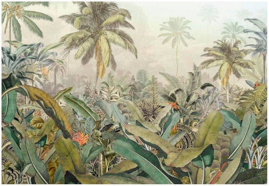 Komar Vliesbehang Vlies Amazonia Afmeting 368 x 248 cm