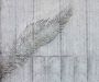 Komar Vliesbehang Digitale print vlies Betonfeder Afmeting 300 x 250 cm (1 stuk) - Thumbnail 1