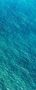 Komar Vliesbehang Digitale print vlies Blaupause Panel Afmeting 100 x 250 cm (1 stuk) - Thumbnail 2