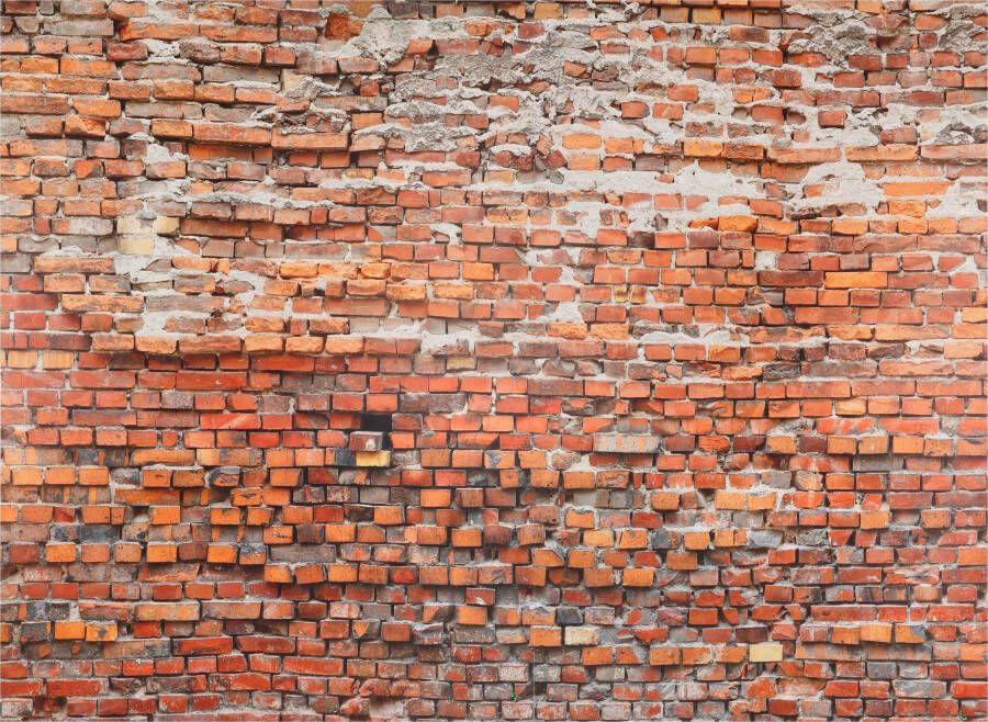 Komar Vliesbehang Vlies Bricklane Afmeting 368 x 248 cm