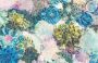 Komar Vliesbehang Frisky Flowers 400x260 cm (breedte x hoogte) (1 stuk) - Thumbnail 2