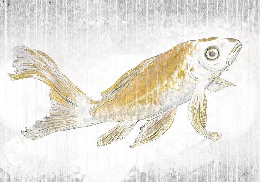 Komar Vliesbehang Digitale print vlies Golden Koi Afmeting 400 x 280 cm (set)