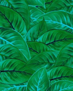 Komar Jungle Leaves Vlies Fotobehang 200x250cm 2-banen