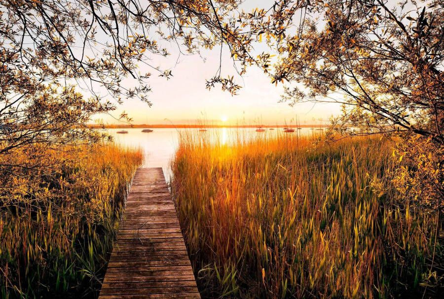 Komar Vliesbehang Digitale print vlies Lakeside Afmeting 400 x 260 cm