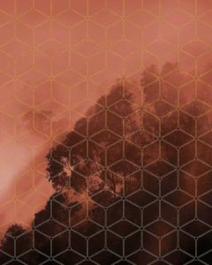 Komar Golden Grid Vlies Fotobehang 200x250cm 2-banen