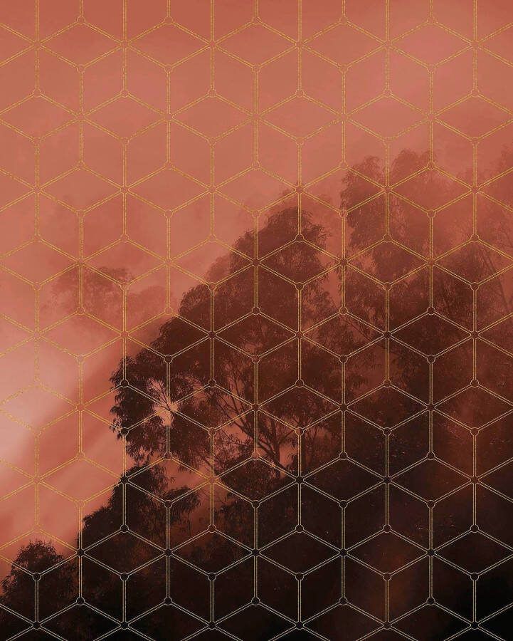 Komar Vliesbehang Digitale print vlies Golden Grid Afmeting 200 x 250 cm (1 stuk)