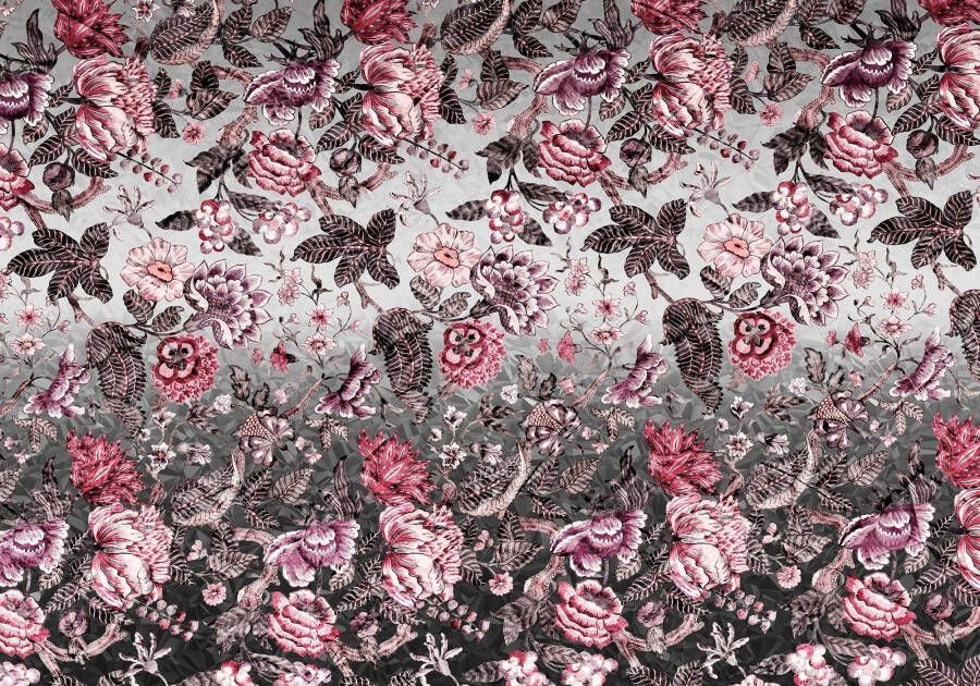 Komar Vliesbehang Digitale print vlies Secret Afmeting 400 x 280 cm
