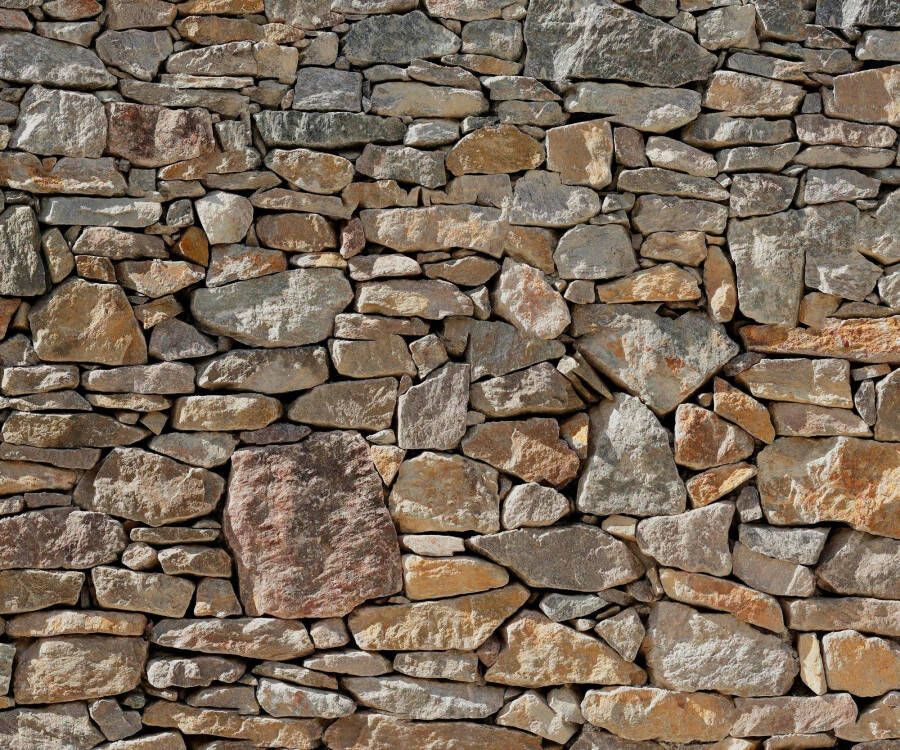 Komar Vliesbehang Stone walvis Woonkamer slaapkamer (1 stuk)