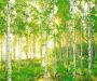 Komar Vliesbehang Digitale print vlies Sunday Afmeting 300 x 250 cm (1 stuk) - Thumbnail 1