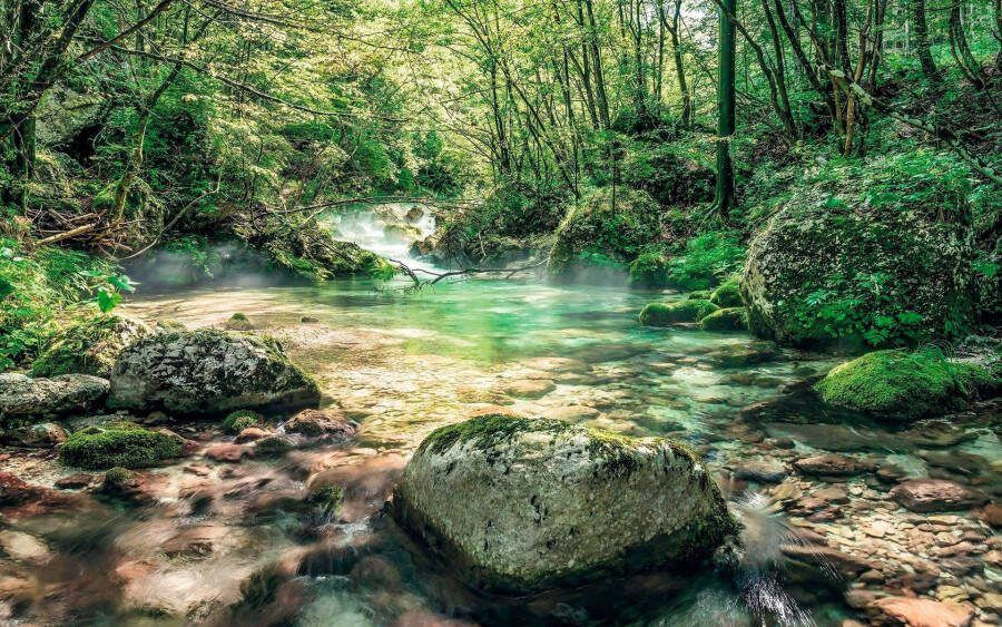 Komar Vliesbehang Digitale print vlies Tranquil Pool Afmeting 400 x 250 cm (1 stuk)