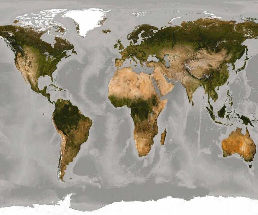 Komar Vliesbehang World" Woonkamer slaapkamer (1 stuk)