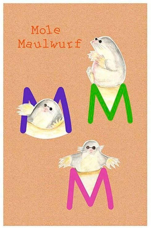 Komar Wanddecoratie ABC animal M Wanddecoratie zonder lijst (1 stuk)