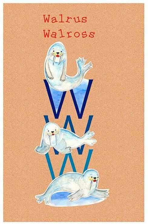 Komar Wanddecoratie ABC Animal W Wanddecoratie zonder lijst (1 stuk)