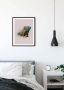 Komar Wanddecoratie Animals Paradise Iguana Wanddecoratie zonder lijst - Thumbnail 1