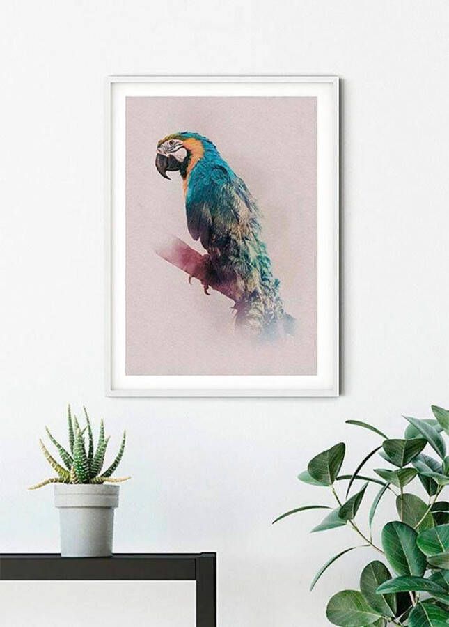Komar Wanddecoratie Animals Paradise Parrot Wanddecoratie zonder lijst