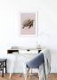 Komar Wanddecoratie Animals Paradise Turtle Wanddecoratie zonder lijst (1 stuk) - Thumbnail 1