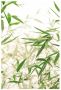 Komar Wanddecoratie Bamboe Leaves Wanddecoratie zonder lijst (1 stuk) - Thumbnail 1