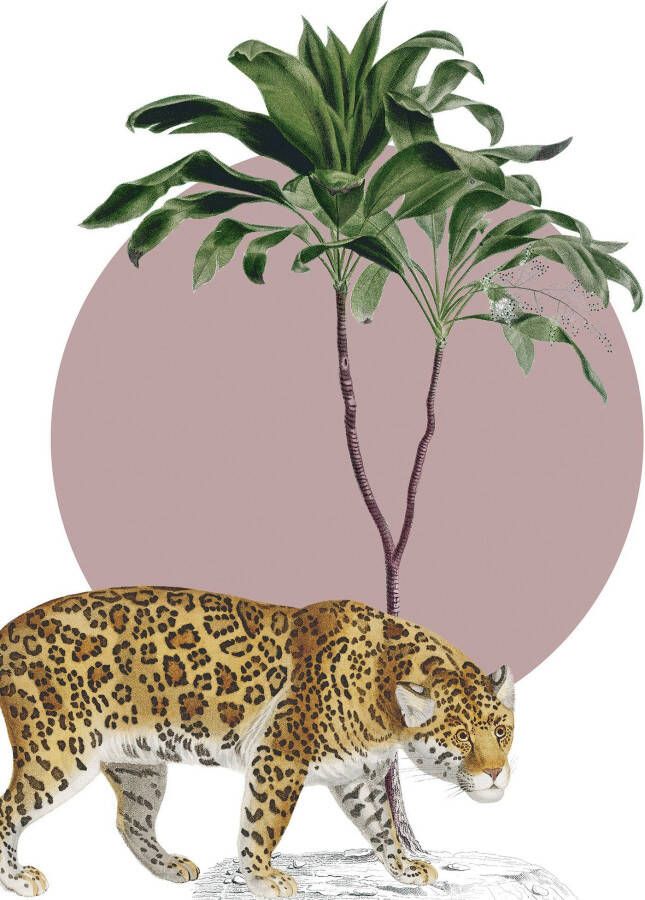 Komar Wanddecoratie Botanical Garden Jaguar Wanddecoratie zonder lijst (1 stuk)