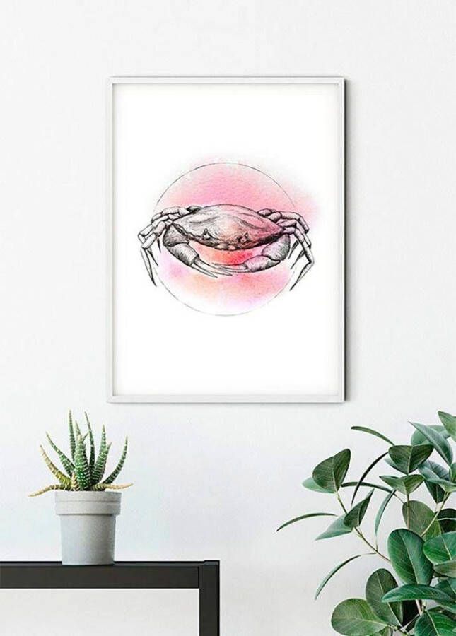 Komar Wanddecoratie Crab Watercolor Wanddecoratie zonder lijst (1 stuk)
