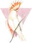 Komar Wanddecoratie Cute Cacadoo Wanddecoratie zonder lijst (1 stuk) - Thumbnail 1