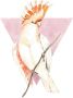 Komar Wanddecoratie Cute Cacadoo Wanddecoratie zonder lijst (1 stuk) - Thumbnail 1