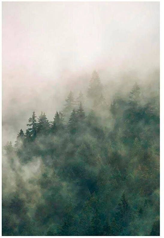 Komar Wanddecoratie Dal of the Carpathians Wanddecoratie zonder lijst (1 stuk)