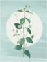 Komar Wanddecoratie Faire Pousser des Fraises Wanddecoratie zonder lijst (1 stuk) - Thumbnail 1