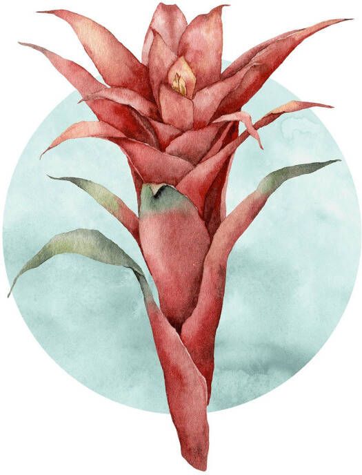 Komar Wanddecoratie Funky Flower Wanddecoratie zonder lijst (1 stuk)