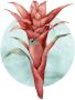 Komar Wanddecoratie Funky Flower Wanddecoratie zonder lijst (1 stuk) - Thumbnail 1